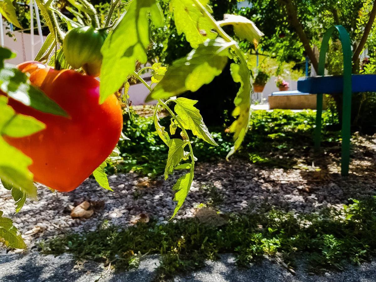 Colazione Dei Canottieri Bed & Breakfast Lago  Dış mekan fotoğraf
