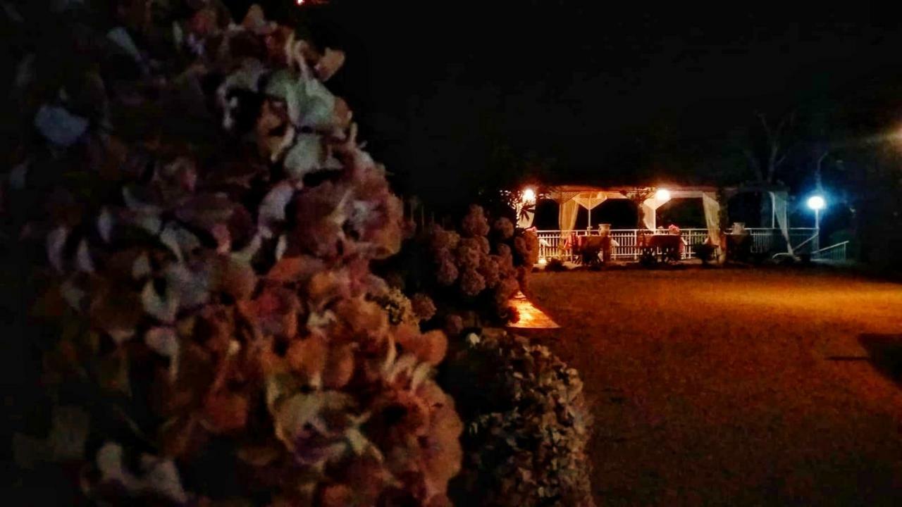 Colazione Dei Canottieri Bed & Breakfast Lago  Dış mekan fotoğraf